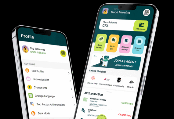 Daily Savings Management System